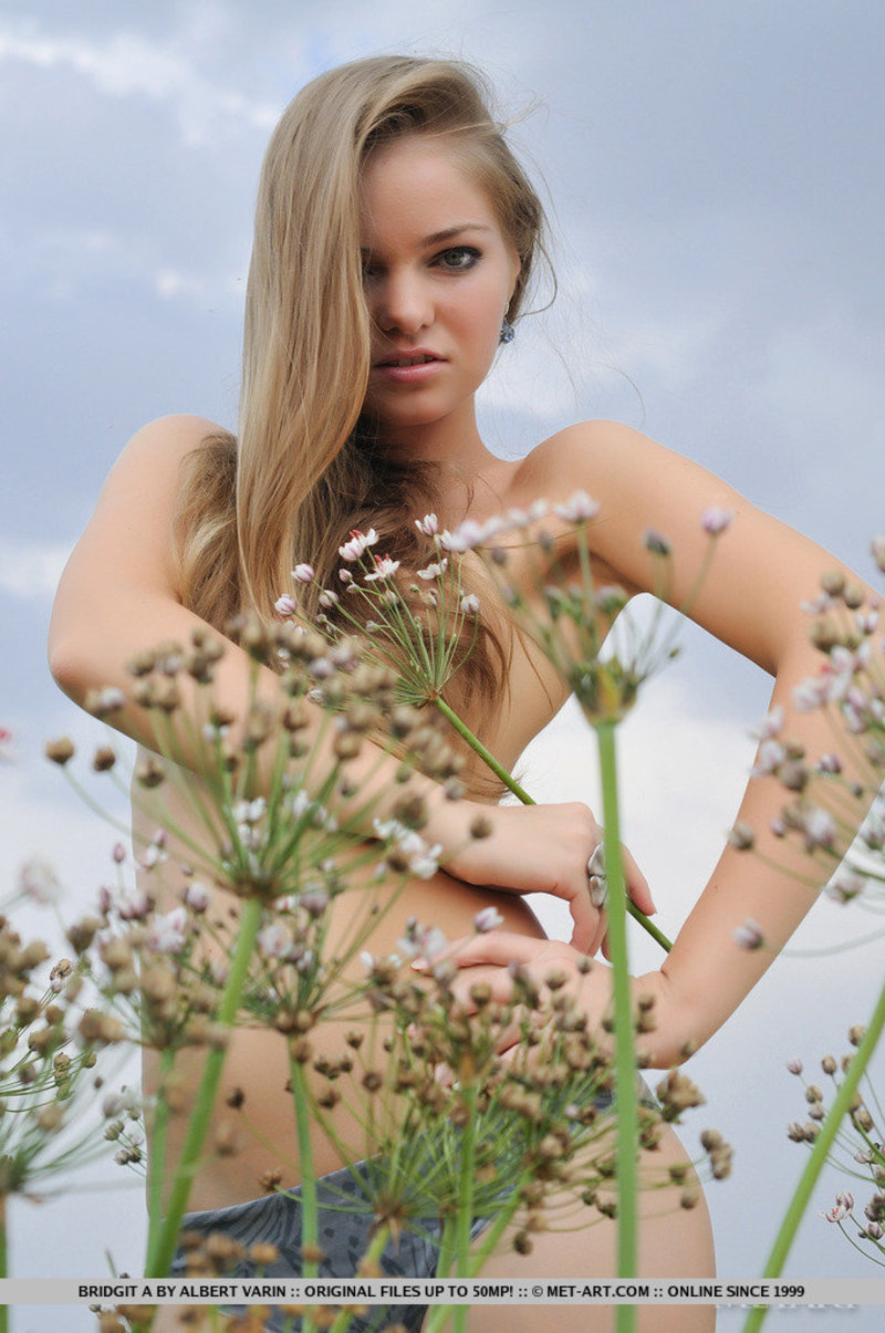 Bridgit A - Plevra 13 