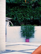 Deven Davis in a beautiful outdoor pictorial 12